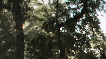 Porsche Taycan Turbo S. / Foto: Cortesía Porsche.