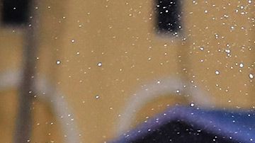 Portland Timbers campeones MLS