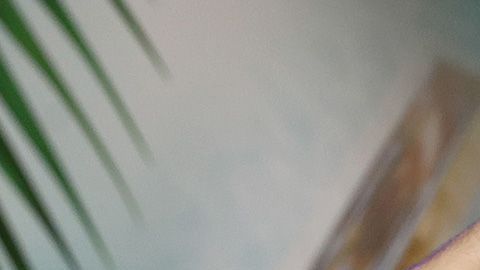 Rob Gronkowski tiburón