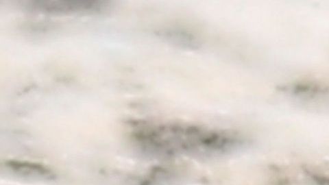 Photo © 2020 Splash News/The Grosby Group

EXCLUSIVE: Emily Ratajkowski shows her ABS while spending the day at the Beach with her husband Sebastian in The Hamptons New York.