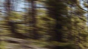 Hyundai Santa Fe. / Foto: Cortesía Hyundai.