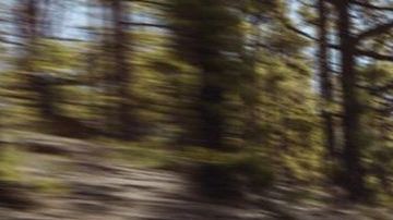 Hyundai Santa Fe. / Foto: Cortesía Hyundai.