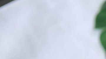 Los compuestos en la canela tienen propiedades antioxidantes, antiinflamatorias, antidiabéticas y antimicrobianas. Foto: Ngô Trọng An/Pexels