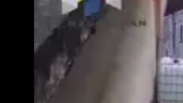 VIDEO: Caen 4 jovencitos con 79 dosis de marihuana y cocaína, así los capturaron