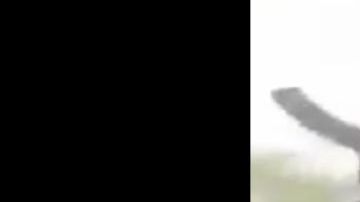 VIDEO: Cárteles Unidos retan al Mencho a bordo de una camioneta monstruo