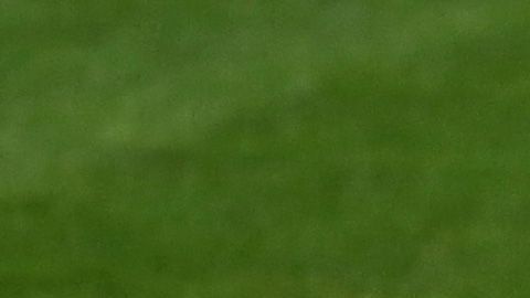 Yoenis Céspedes salsa baile