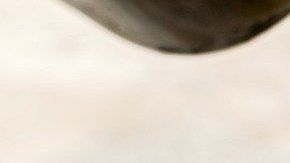 El aceite de oliva tiene efectos comprobados de reducción de riesgo de enfermedades cardiovasculares y ha favorecido la pérdida de peso al sustituir grasas saturadas.