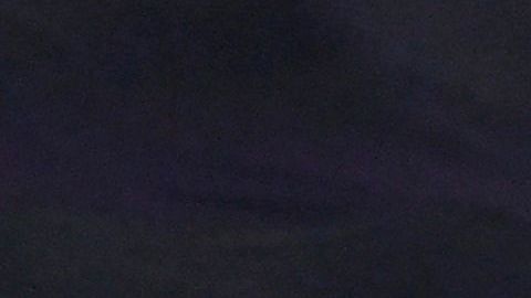 El gol histórico de Tyler Adams.