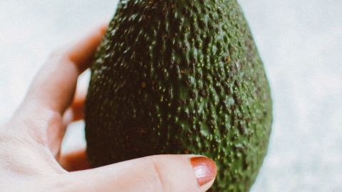 El primer árbol de aguacate Hass estuvo a punto de ser talado, de no ser por unos niños que señalaron sus frutos eran los más deliciosos.