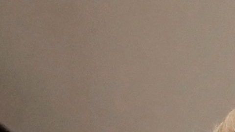 Alexa Dellanos y Myrka Dellanos