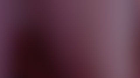 Anthony Rojo de León tenía 3 años y estaba en la tiendita de su familia al sur de Miami.