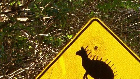 Lo más importante a la hora de conducir es tomar las precauciones necesarias para evitar cualquier tipo de accidente en carretera.