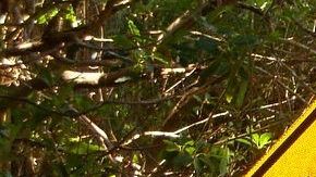 Lo más importante a la hora de conducir es tomar las precauciones necesarias para evitar cualquier tipo de accidente en carretera.