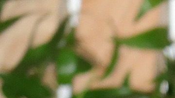 gwyneth paltrow auto