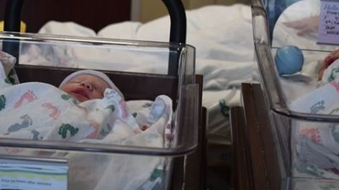 Bebés récord en Texas.