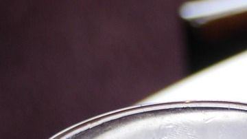 Pescado a la cerveza.