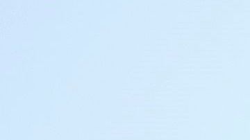 USPS asegura que suspenderá los cambios hasta después de las elecciones.