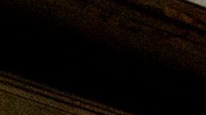 Es el primer caso documentado de una segunda infección en una misma persona.