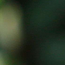 Guillermo Álvarez Cuevas, presidente de Cruz Azul.