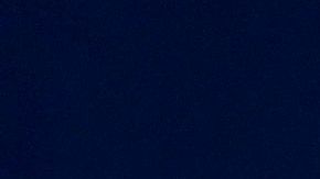 Trump ha perdido amplio apoyo de las mujeres blancas, según las encuestas.