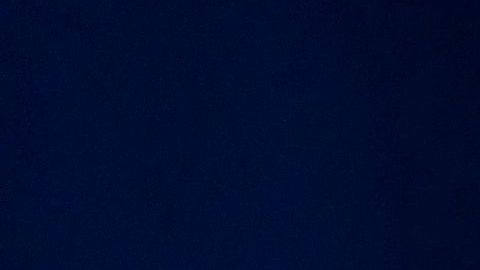 Trump ha perdido amplio apoyo de las mujeres blancas, según las encuestas.