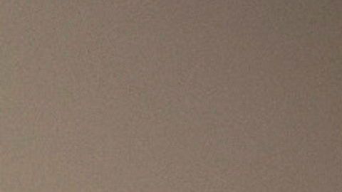 Harris estuvo en la lista de Biden desde el principio.