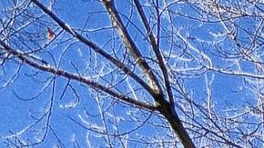 ¿Sabes ya la respuesta?