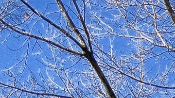 ¿Sabes ya la respuesta?