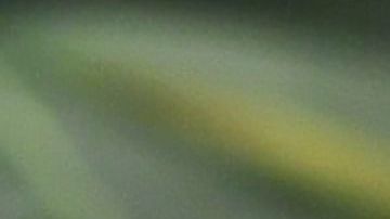 El 61% de los votantes aprueba la legalización de la marihuana, según una encuesta del Centro de Investigación Pew.