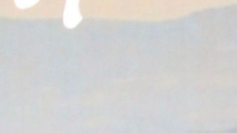 Carolina Sandoval, la presentadora de televisión.