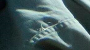 Agentes de CBP asisten a un inmigrante que se desmayó debido al calor en el desierto de Arizona.