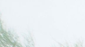 La mascarilla ayuda a protegerse del coronavirus.