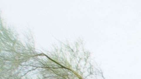 La mascarilla ayuda a protegerse del coronavirus.