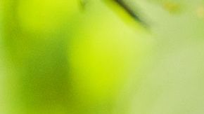cerebro-lectura-shutterstock-nota-2-p5