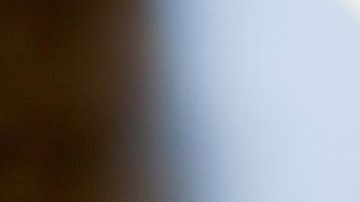 Los cambios en la temperatura y la lluvia afectan la bioquímica del lúpulo.