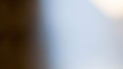 Los cambios en la temperatura y la lluvia afectan la bioquímica del lúpulo.