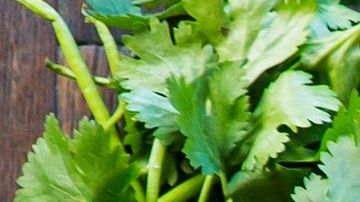 El ceviche tradicional es uno de los platos típicos del restaurante Pisco y Nazca.