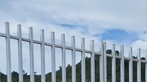 Exigen liberar al médico Grajales Yuca.