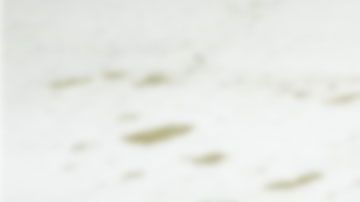 La empresa usará los huesos para darle color a su nueva línea de ropa.