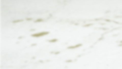 La empresa usará los huesos para darle color a su nueva línea de ropa.