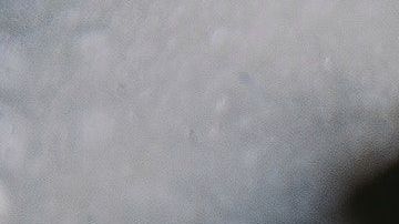 La canela contiene grandes cantidades de antioxidantes polifenólicos muy potentes.