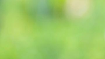 En estas ciudades te puede rendir mucho más el dinero al no gastar tanto en rentas.