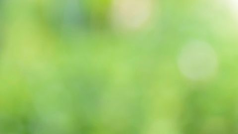 En estas ciudades te puede rendir mucho más el dinero al no gastar tanto en rentas.