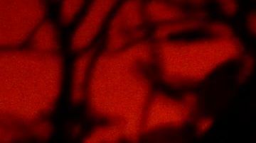 Fenómenos meteorológicos provocarán nuevos focos o propagarán los que hay.