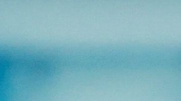 Trump espetó que Harris fue fue "desagradable" e "irrespetuosa" con Biden.