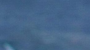 Danilo Carrera y Michelle Renaud