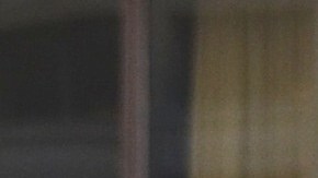Moisés Moreno, director ejecutivo de la organización Alianza de Pilsen, dijo que los recursos de vivienda que hay para las comunidades afroamericana y latina no son suficientes en medio de la pandemia de covid-19. (Belhú Sanabria / La Raza)