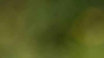 El ataque afectó toda la cara del niño, le sacó un pedazo de nariz y dejó secuelas en los nervios faciales.