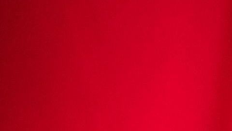 Reynaldo Gianecchini