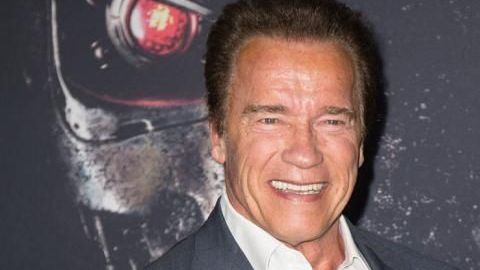 A pesar del susto, Arnold no ha cambiado de opinión sobre la "belleza" innata de los elefantes.